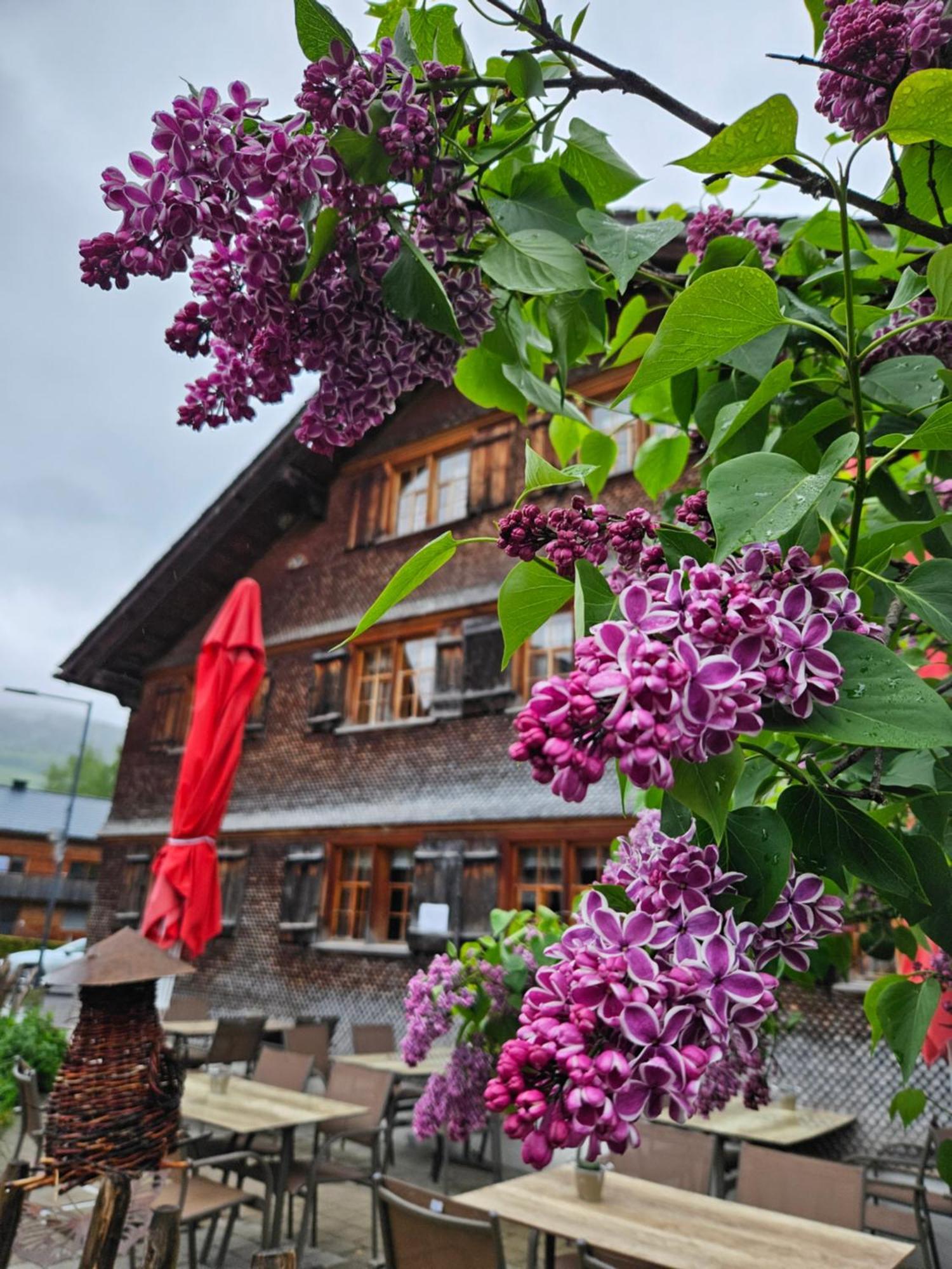 Hotel Naze'S Hus Mellau Exterior foto